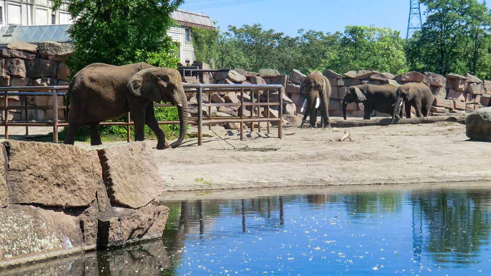 Tierpark Friedrichsfelde